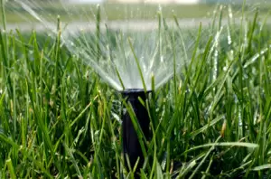 irrigation-system